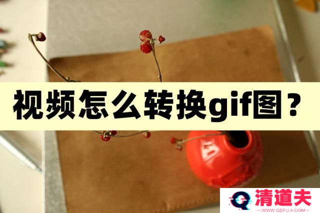 视频怎么转换gif图