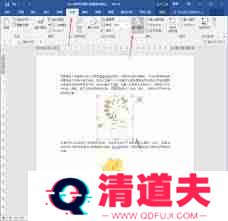 word图注如何添加-word批量为图片添加序号标注的方法