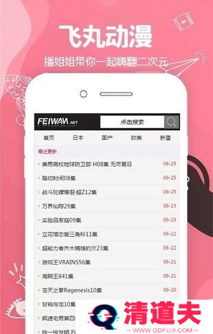 飞丸动漫无广告插件版